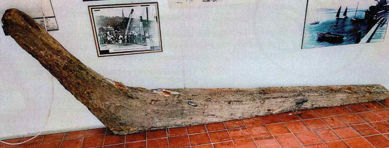 Deadwood Knee